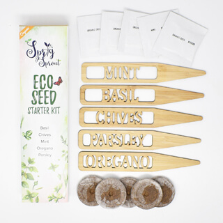 Mini Starter Herb Growing Kit