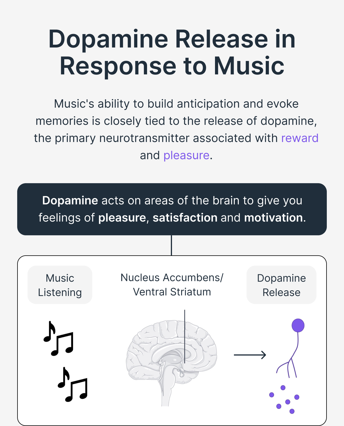 Dopamine Release in Response to Music