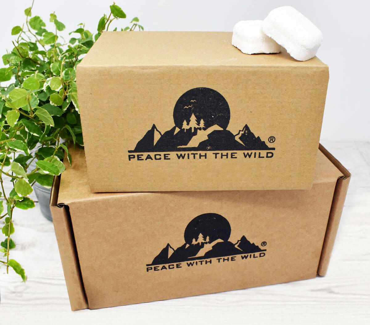 Plastic-Free Packaging Promise
