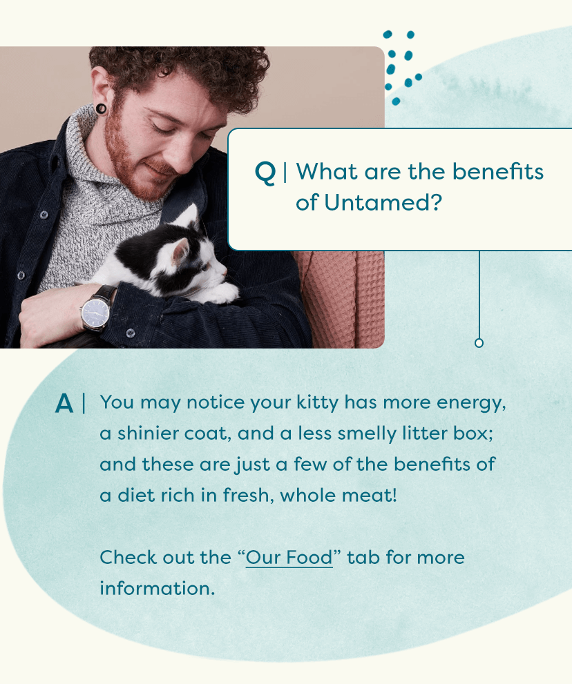 All you need to know about Untamed 😺 Untamed Cat Food