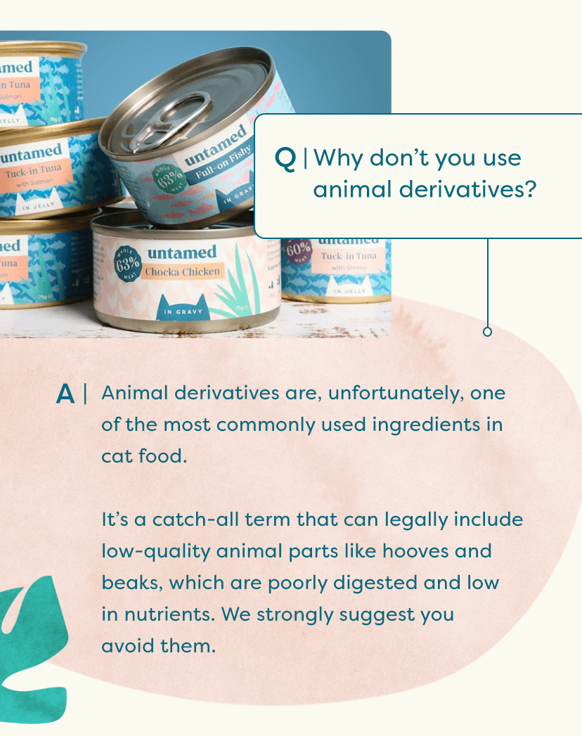 All you need to know about Untamed 😺 Untamed Cat Food