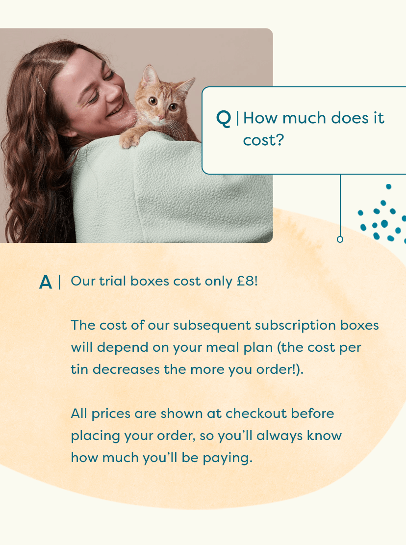 All you need to know about Untamed 😺 Untamed Cat Food