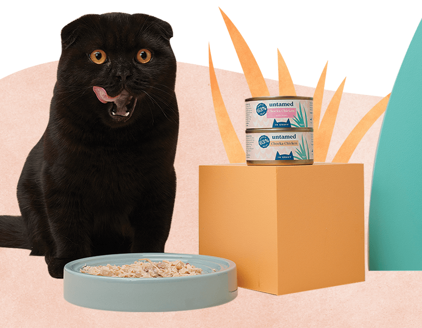 Untamed vs. Purina One Untamed Cat Food