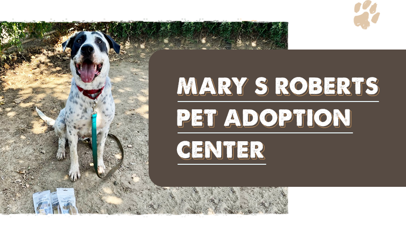 MARY S ROBERTS PET ADOPTION CENTER