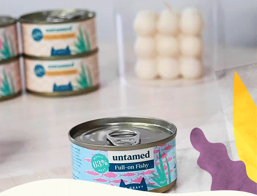 How often should you feed your kitten? Untamed Cat Food