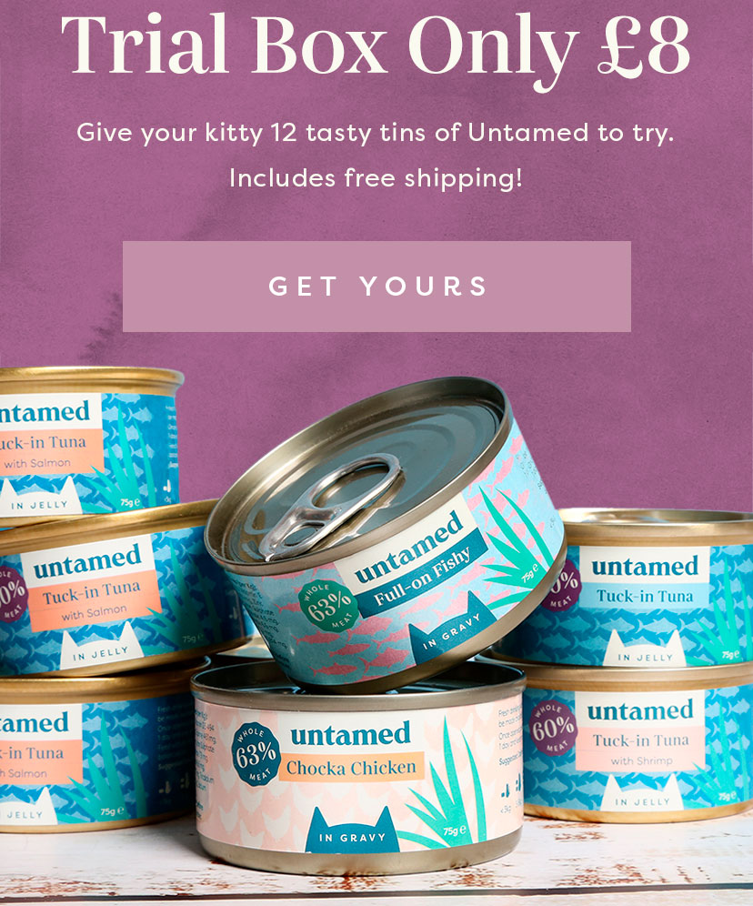 Guide what’s your cat’s healthy weight? 🐈 Untamed Cat Food