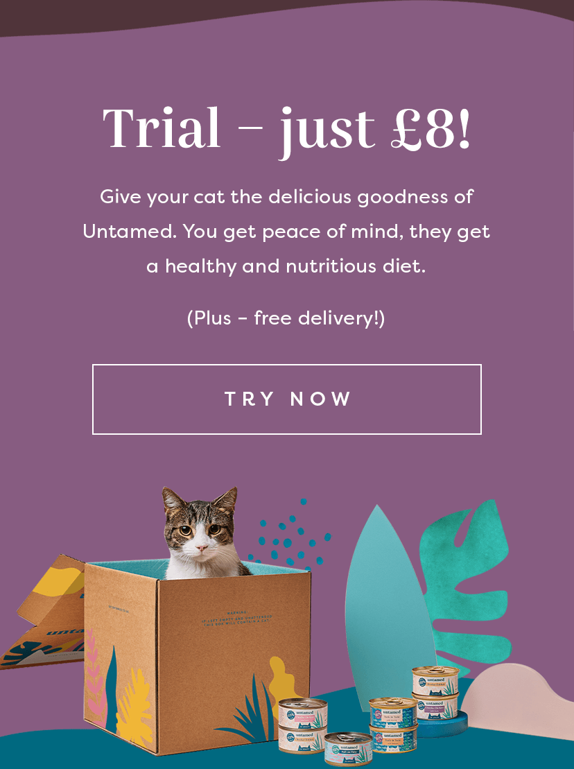 Meet Nori and read his health transformation story Untamed Cat Food