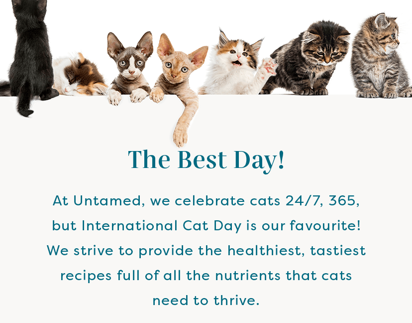 Happy International Cat Day 🐱 Untamed Cat Food