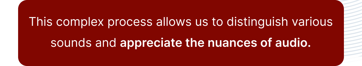 This complex process allows us to distinguish various sounds and appreciate the nuances of audio.