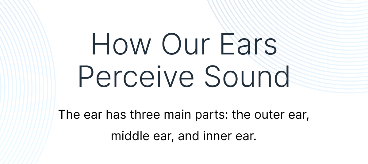 How Our Ears Perceive Sound