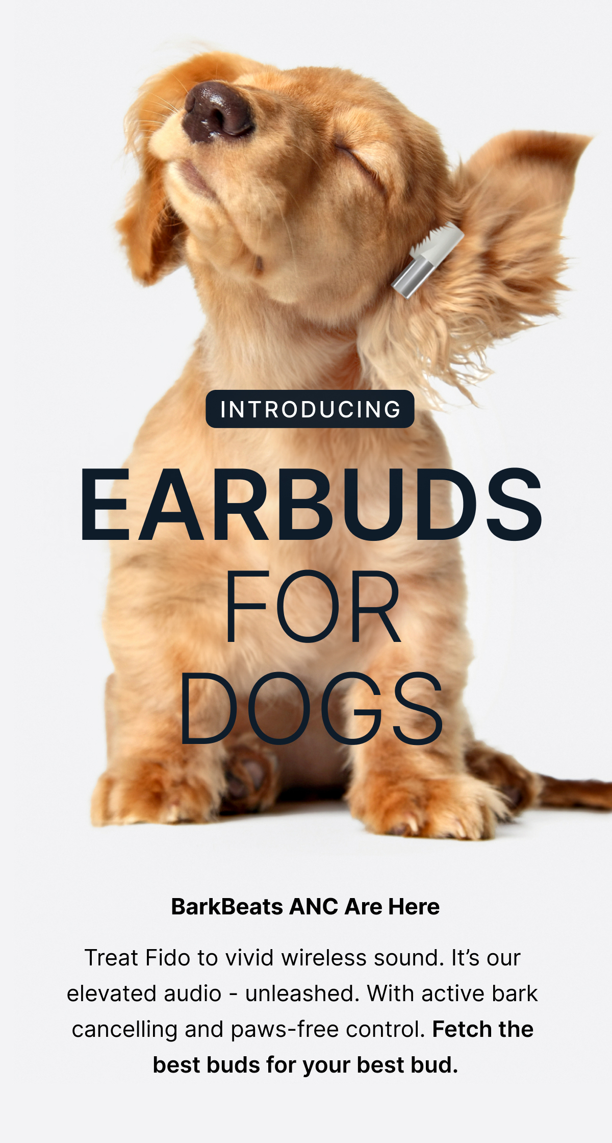 INTRODUCING | Earbuds For Dogs