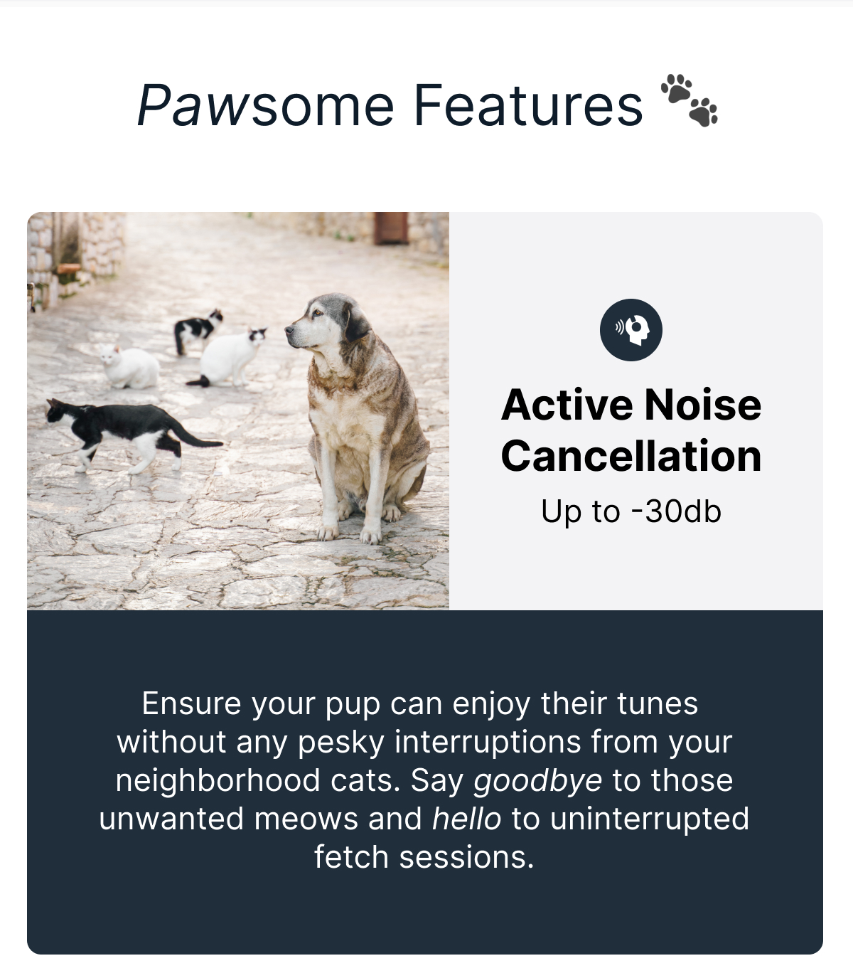 Pawsome Features 🐾 | Active Noise Cancellation