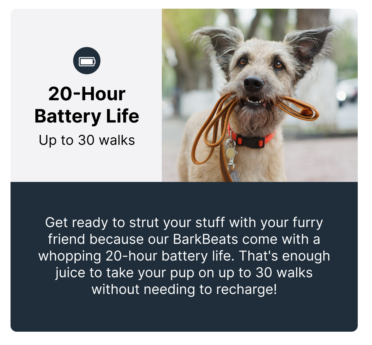 20-Hour Battery Life