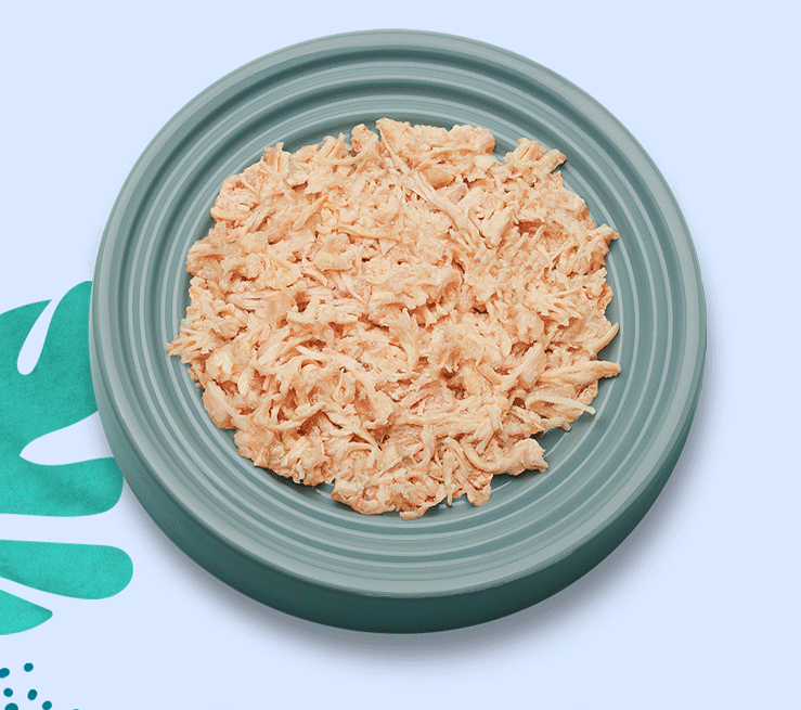 How to keep kitty’s teeth healthy! 😸 Untamed Cat Food