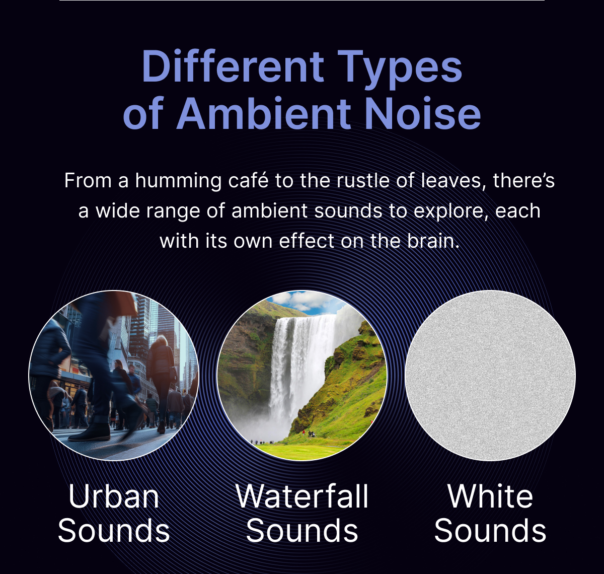 Different Types of Ambient Noise