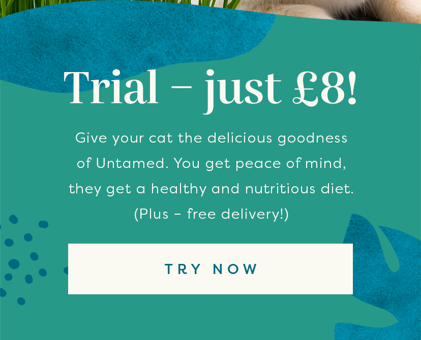 This is how Untamed commits to the environment… Untamed Cat Food