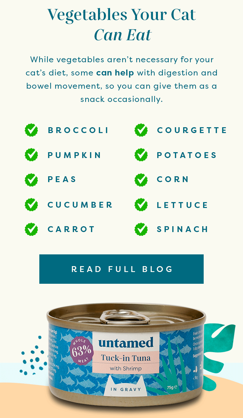 can-cats-eat-vegetables-untamed-cat-food
